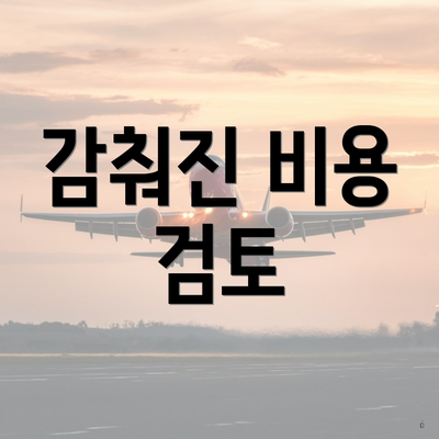 감춰진 비용 검토