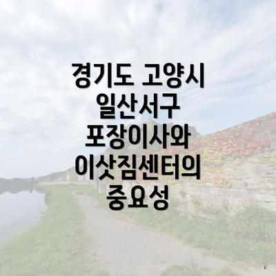 경기도 고양시 일산서구 포장이사와 이삿짐센터의 중요성