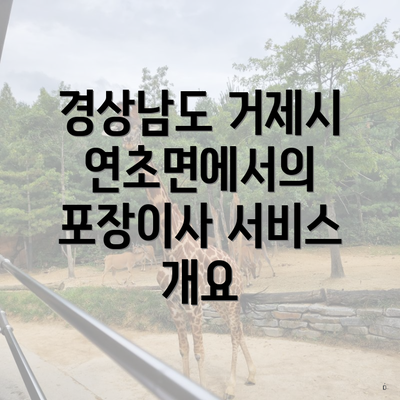 경상남도 거제시 연초면에서의 포장이사 서비스 개요