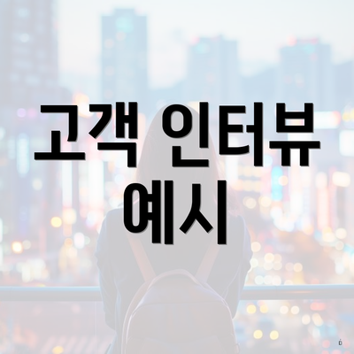 고객 인터뷰 예시