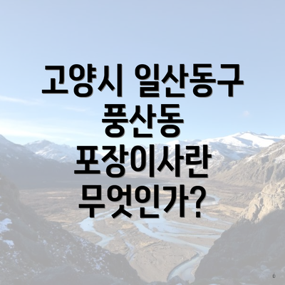 고양시 일산동구 풍산동 포장이사란 무엇인가?