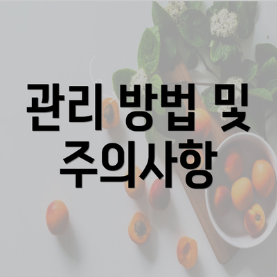 관리 방법 및 주의사항