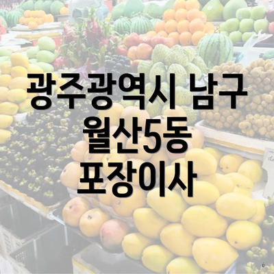 광주광역시 남구 월산5동 포장이사