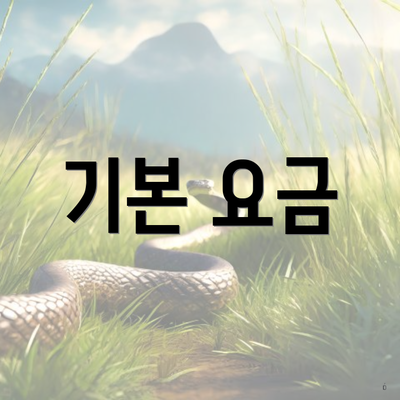 기본 요금