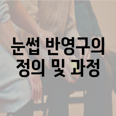 눈썹 반영구의 정의 및 과정