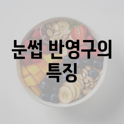 눈썹 반영구의 특징