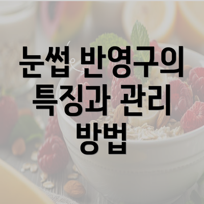 눈썹 반영구의 특징과 관리 방법