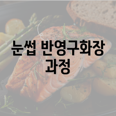 눈썹 반영구화장 과정