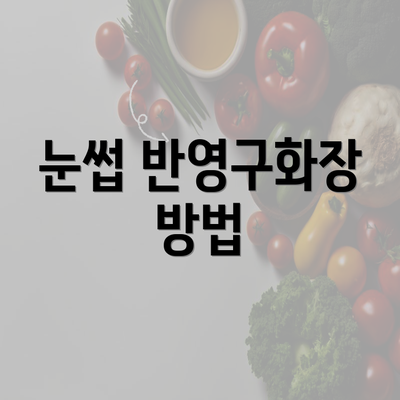 눈썹 반영구화장 방법