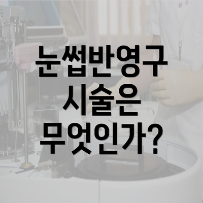 눈썹반영구 시술은 무엇인가?