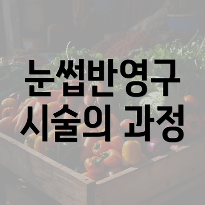 눈썹반영구 시술의 과정