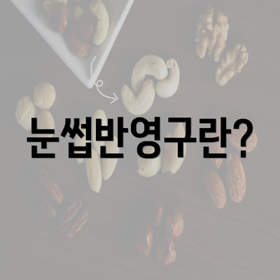 눈썹반영구란?