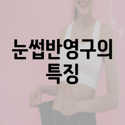 눈썹반영구의 특징