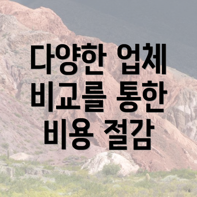 다양한 업체 비교를 통한 비용 절감