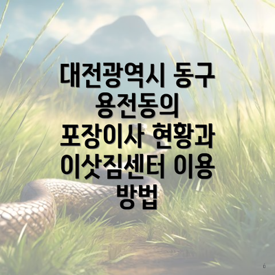 대전광역시 동구 용전동의 포장이사 현황과 이삿짐센터 이용 방법