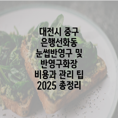 대전시 중구 은행선화동 눈썹반영구 및 반영구화장 비용과 관리 팁 2025 총정리