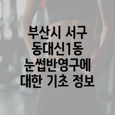 부산시 서구 동대신1동 눈썹반영구에 대한 기초 정보