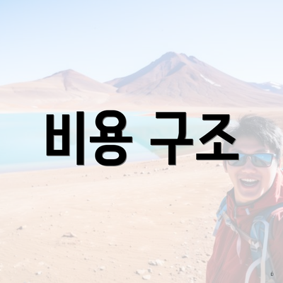 비용 구조