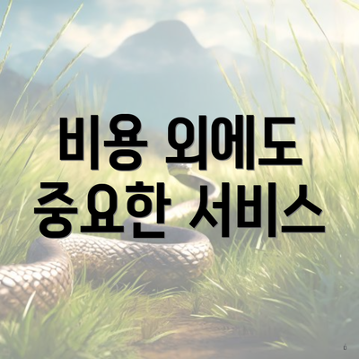 비용 외에도 중요한 서비스