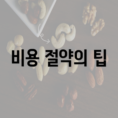 비용 절약의 팁