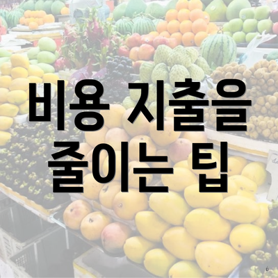 비용 지출을 줄이는 팁