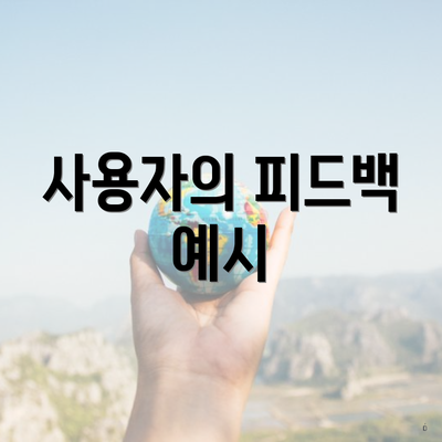 사용자의 피드백 예시