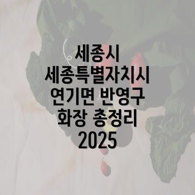 세종시 세종특별자치시 연기면 반영구 화장 총정리 2025