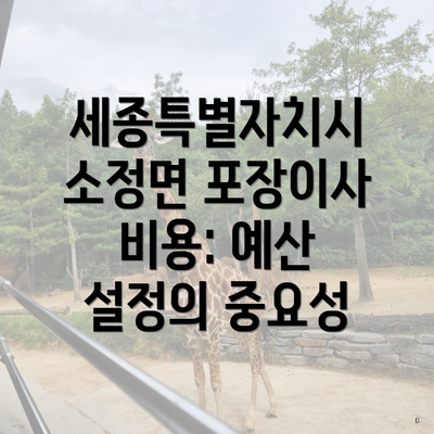 세종특별자치시 소정면 포장이사 비용: 예산 설정의 중요성