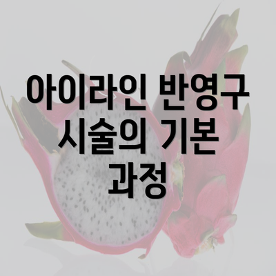 아이라인 반영구 시술의 기본 과정