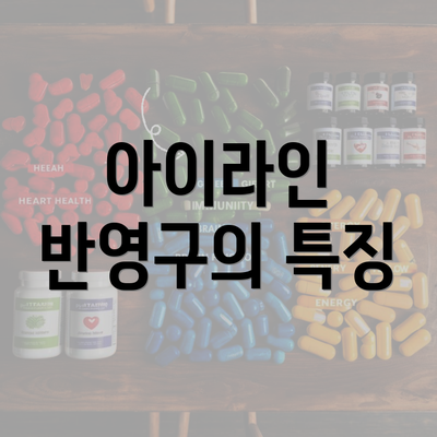 아이라인 반영구의 특징