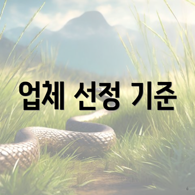 업체 선정 기준