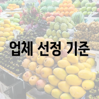 업체 선정 기준