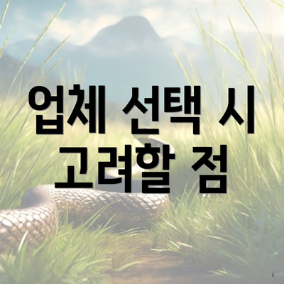 업체 선택 시 고려할 점