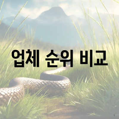 업체 순위 비교