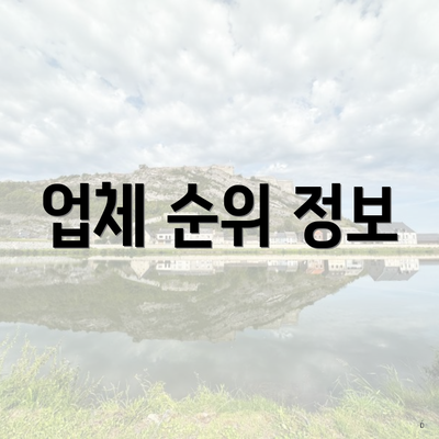 업체 순위 정보