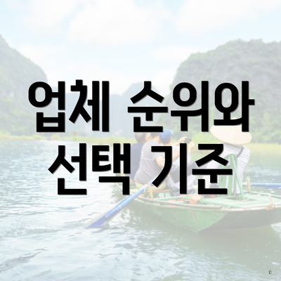 업체 순위와 선택 기준