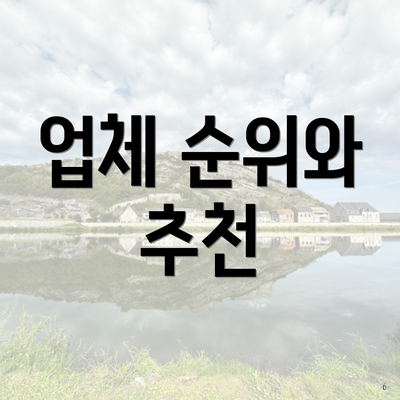 업체 순위와 추천