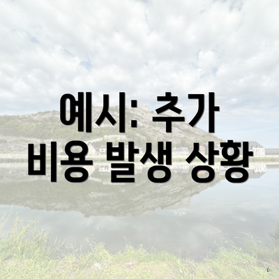 예시: 추가 비용 발생 상황