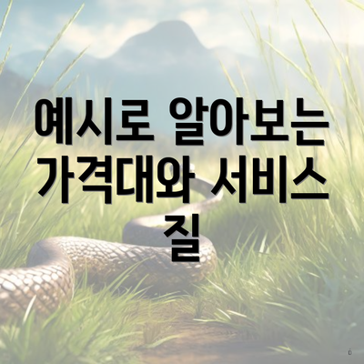 예시로 알아보는 가격대와 서비스 질