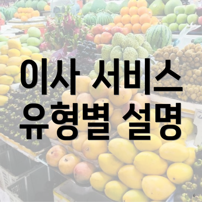 이사 서비스 유형별 설명