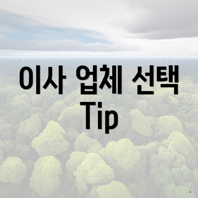 이사 업체 선택 Tip