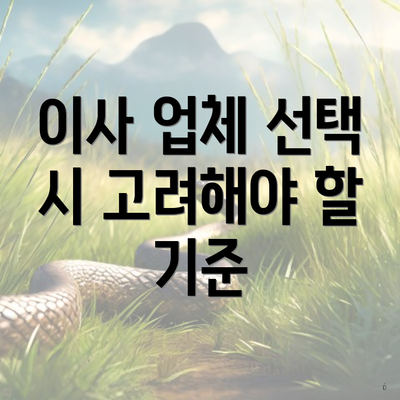 이사 업체 선택 시 고려해야 할 기준