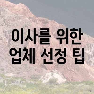 이사를 위한 업체 선정 팁