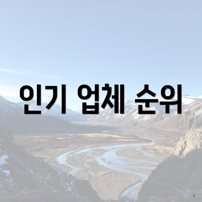 인기 업체 순위