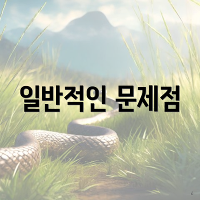 일반적인 문제점