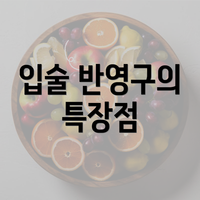 입술 반영구의 특장점