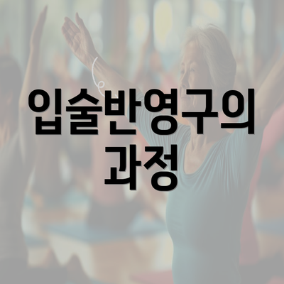 입술반영구의 과정