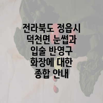 전라북도 정읍시 덕천면 눈썹과 입술 반영구 화장에 대한 종합 안내