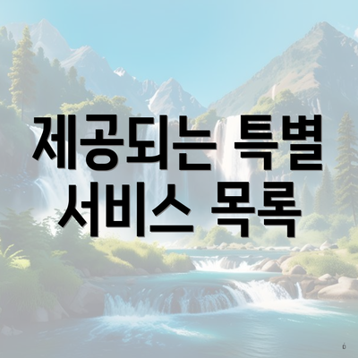 제공되는 특별 서비스 목록