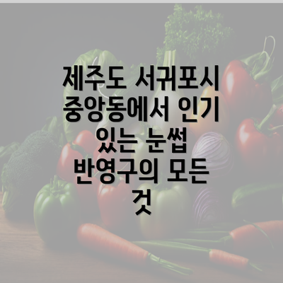 제주도 서귀포시 중앙동에서 인기 있는 눈썹 반영구의 모든 것